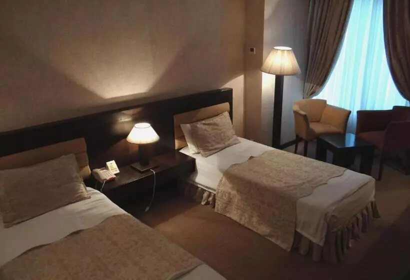 Fotos del hotel Le Grande Plaza:  7