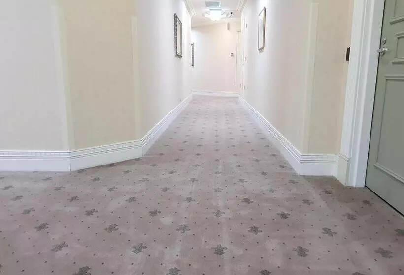 Fotos del hotel Macarthur Chambers:  4