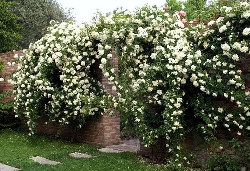 Fotos del hotel Bauer Palladio  & Spa:  15