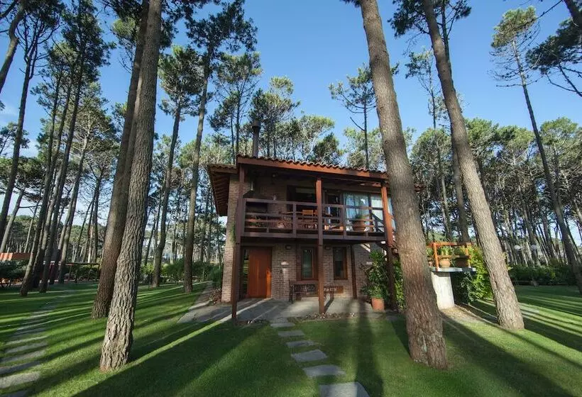 Fotos del hotel Il Belvedere:  20