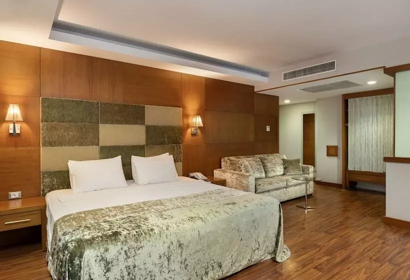 Fotos del hotel Limak Ambassadore  Ankara:  19