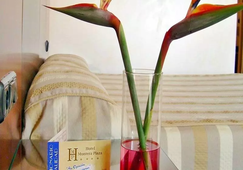 Fotos del hotel Montera Plaza:  12