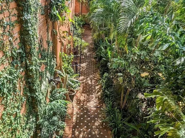 Fotos del hotel Suites La Hacienda:  7