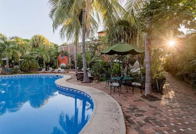 Fotos del hotel Suites La Hacienda:  3