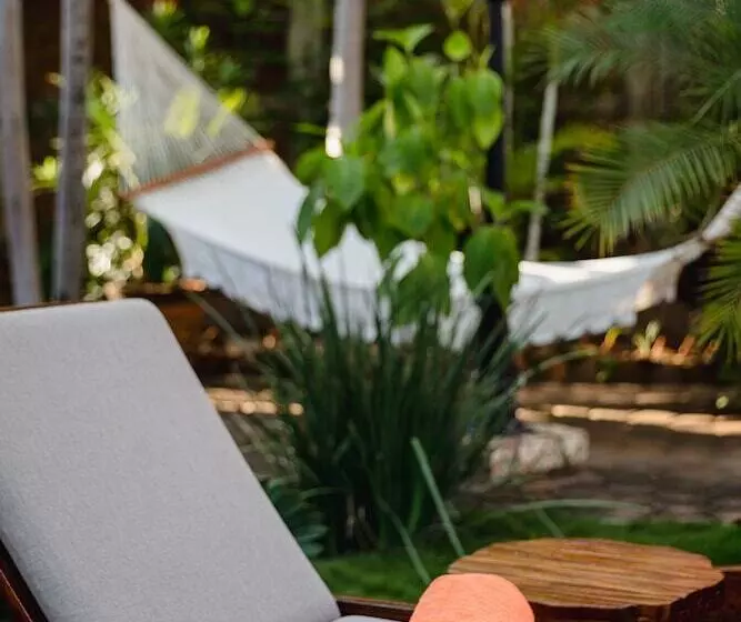 Fotos del hotel Suites La Hacienda:  19