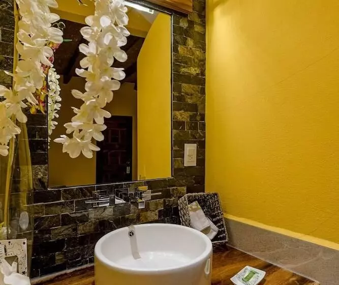 Fotos del hotel Suites La Hacienda:  6