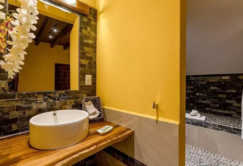 Fotos del hotel Suites La Hacienda:  12