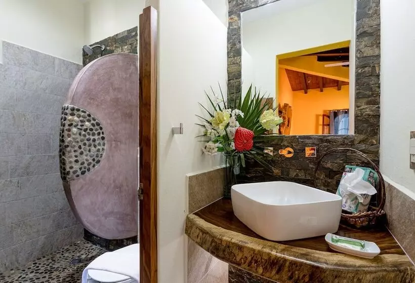 Fotos del hotel Suites La Hacienda:  17