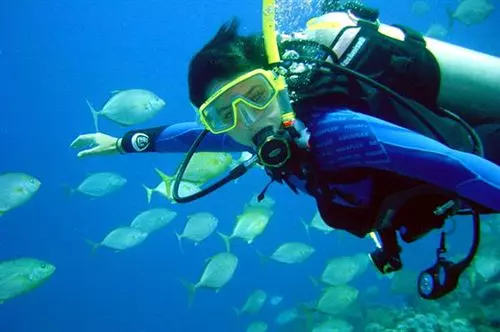 Fotos del hotel Alam Asmara Dive Resort:  25