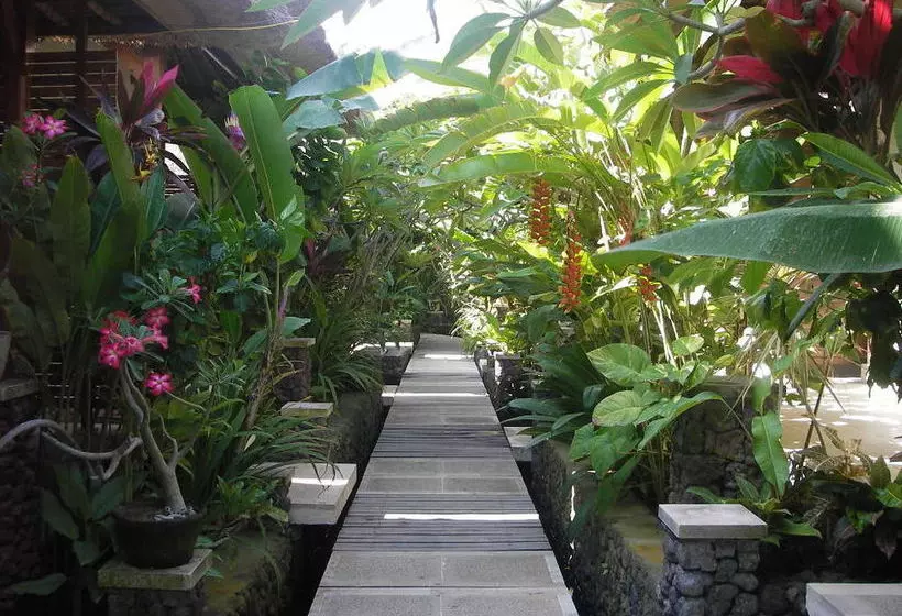 Fotos del hotel Alam Asmara Dive Resort:  12