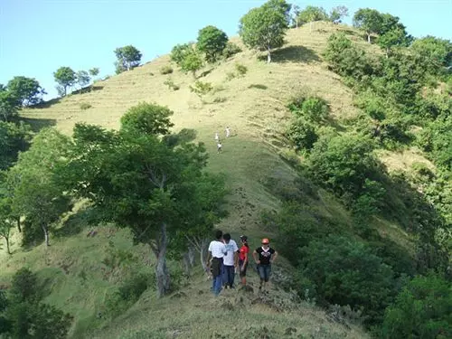 Fotos del hotel Alam Asmara Dive Resort:  8