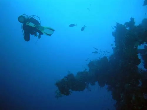 Fotos del hotel Alam Asmara Dive Resort:  7