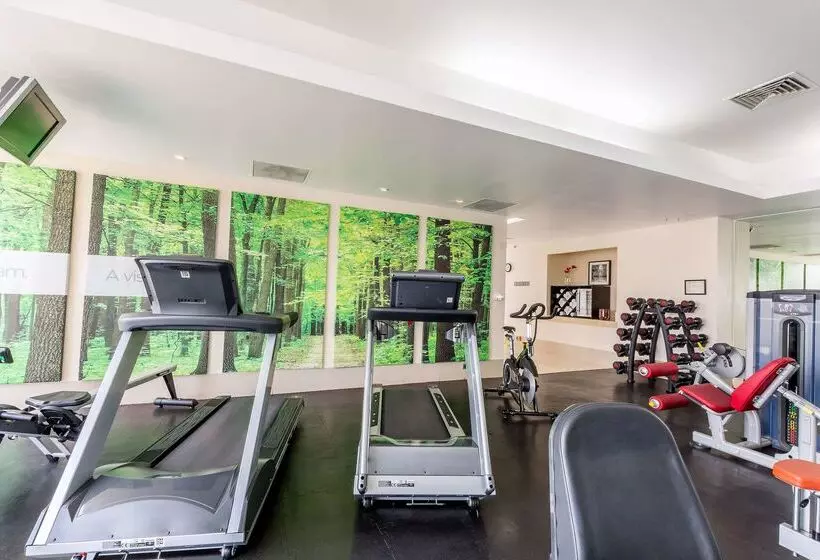 Fotos del hotel Nh Collection Mexico City Santa Fe:  42