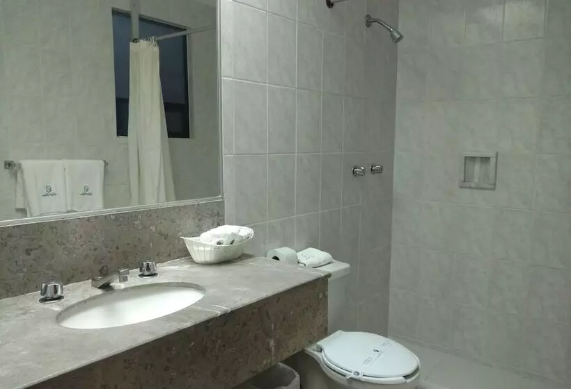 Fotos del hotel Palace Puebla:  18