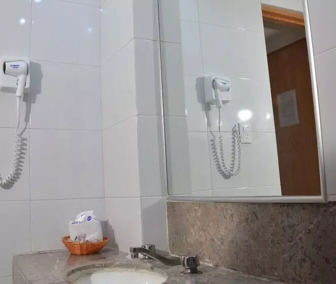 Fotos del hotel Palace Puebla:  22