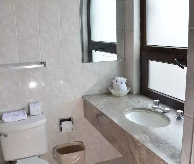 Fotos del hotel Palace Puebla:  6