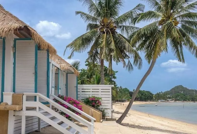 Fotos del hotel Sand Sea Resort And Spa:  24