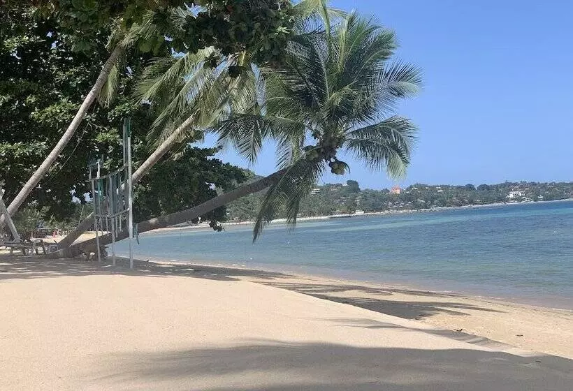 Fotos del hotel Sand Sea Resort And Spa:  5