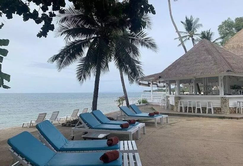 Fotos del hotel Sand Sea Resort And Spa:  11