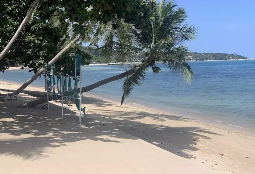 Fotos del hotel Sand Sea Resort And Spa:  8