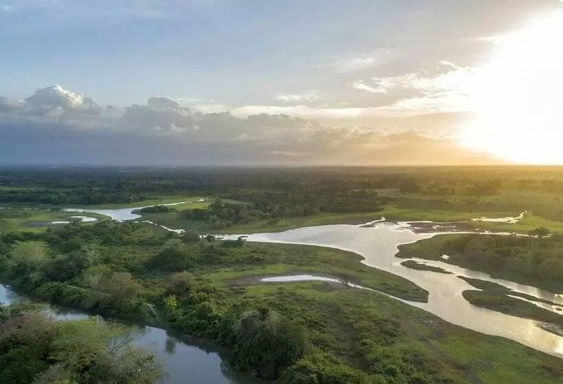Fotos del hotel Natural Lodge Caño Negro:  7