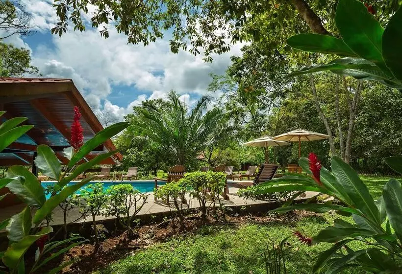 Fotos del hotel Natural Lodge Caño Negro:  16