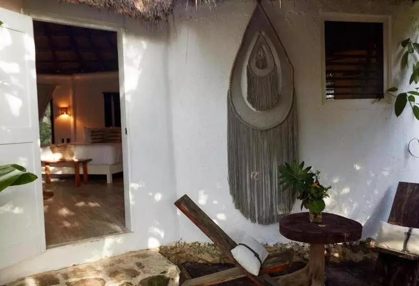 Fotos del hotel Roc Luxe Tulum:  8