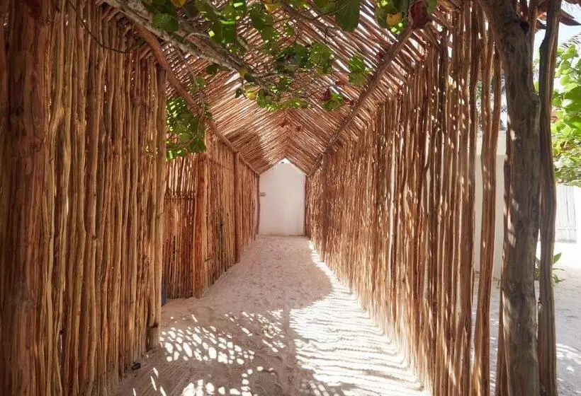 Fotos del hotel Roc Luxe Tulum:  12