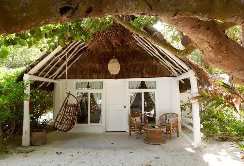 Fotos del hotel Roc Luxe Tulum:  16