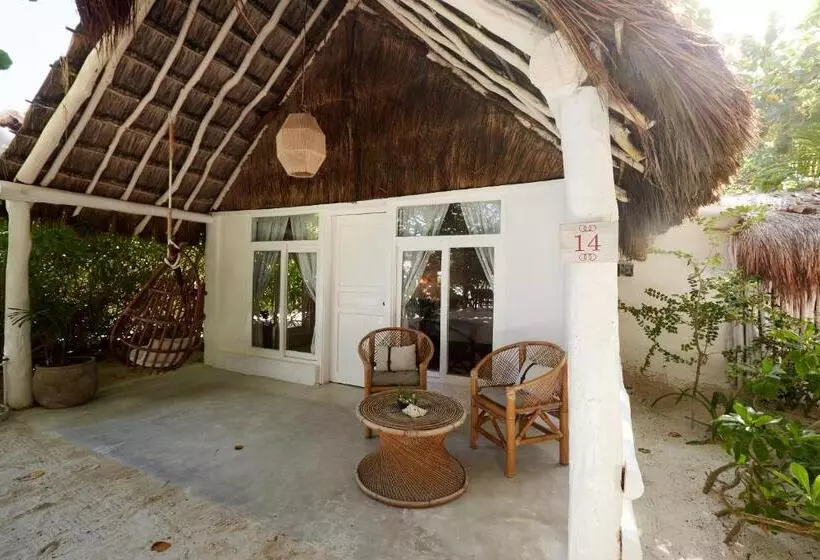 Fotos del hotel Roc Luxe Tulum:  17