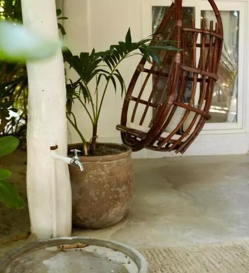 Fotos del hotel Roc Luxe Tulum:  3