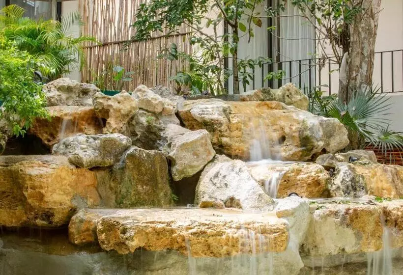 Fotos del hotel Naala Tulum:  10