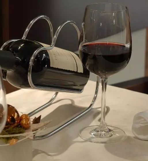 Fotos del hotel Aston:  7