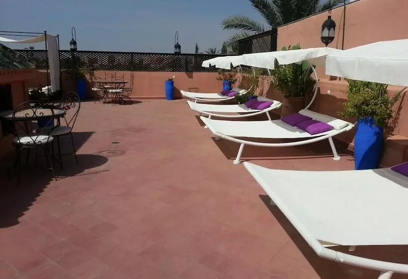 Fotos del hotel Villa Amira Et Spa:  11