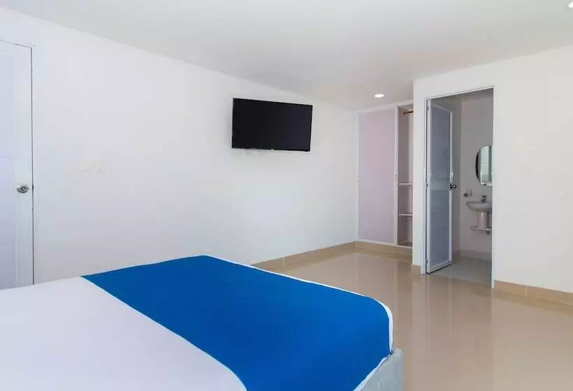 Fotos del hotel Playa Norte:  19