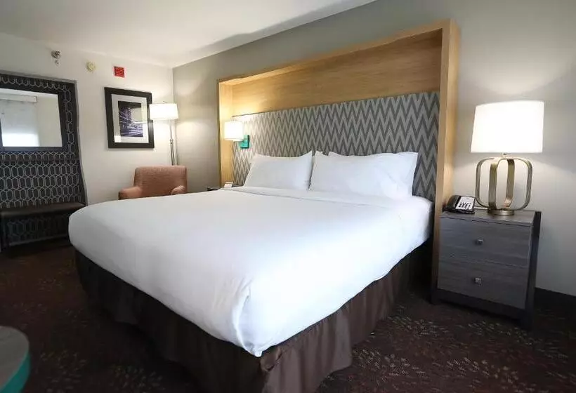 Fotos del hotel Holiday Inn O'hare Area, An Ihg:  21