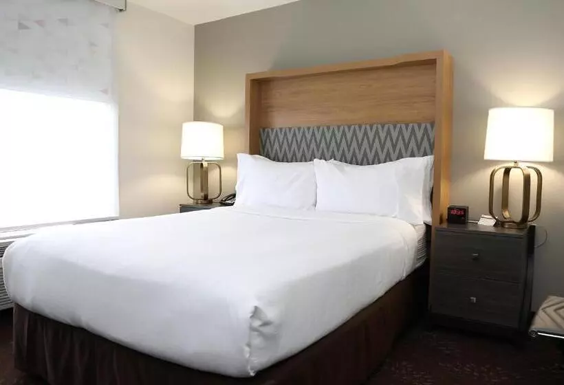 Fotos del hotel Holiday Inn O'hare Area, An Ihg:  9