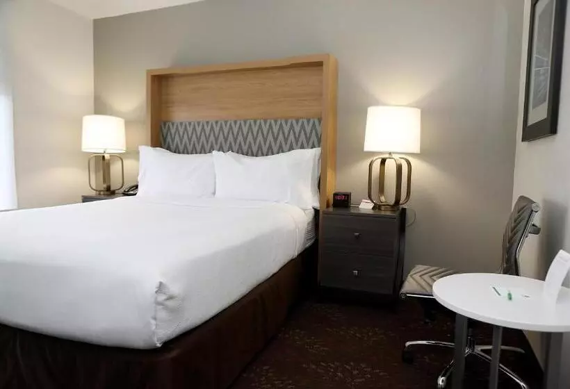 Fotos del hotel Holiday Inn O'hare Area, An Ihg:  20