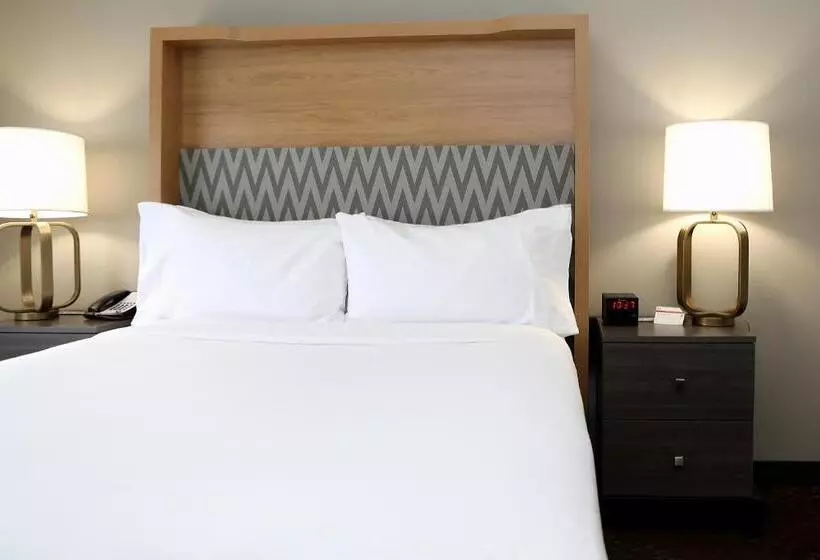 Fotos del hotel Holiday Inn O'hare Area, An Ihg:  18