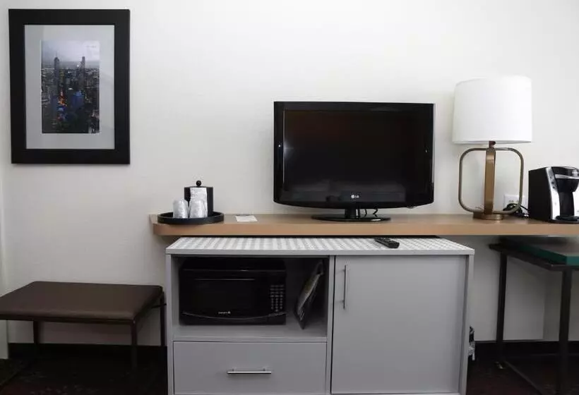 Fotos del hotel Holiday Inn O'hare Area, An Ihg:  23