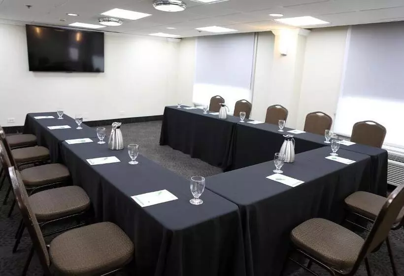 Fotos del hotel Holiday Inn O'hare Area, An Ihg:  5