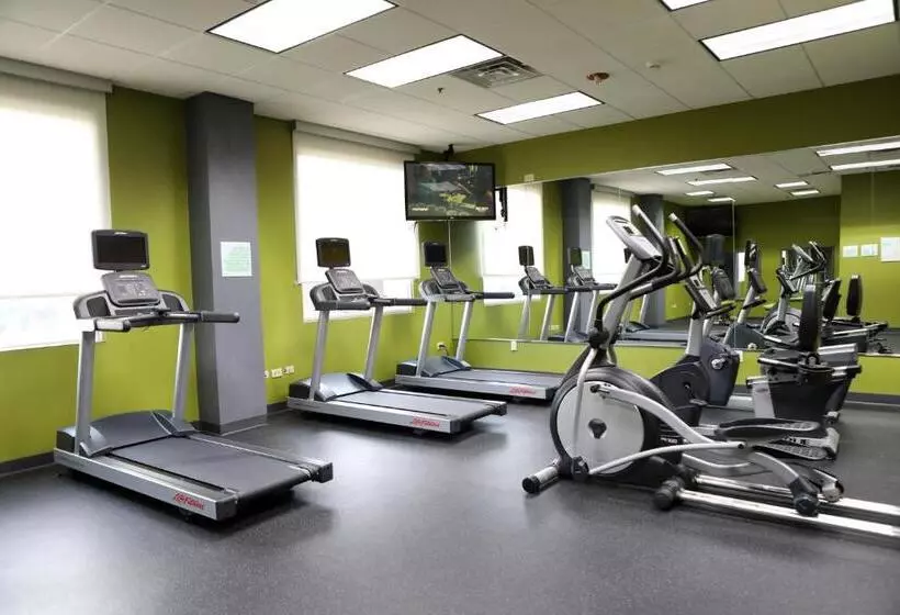 Fotos del hotel Holiday Inn O'hare Area, An Ihg:  3