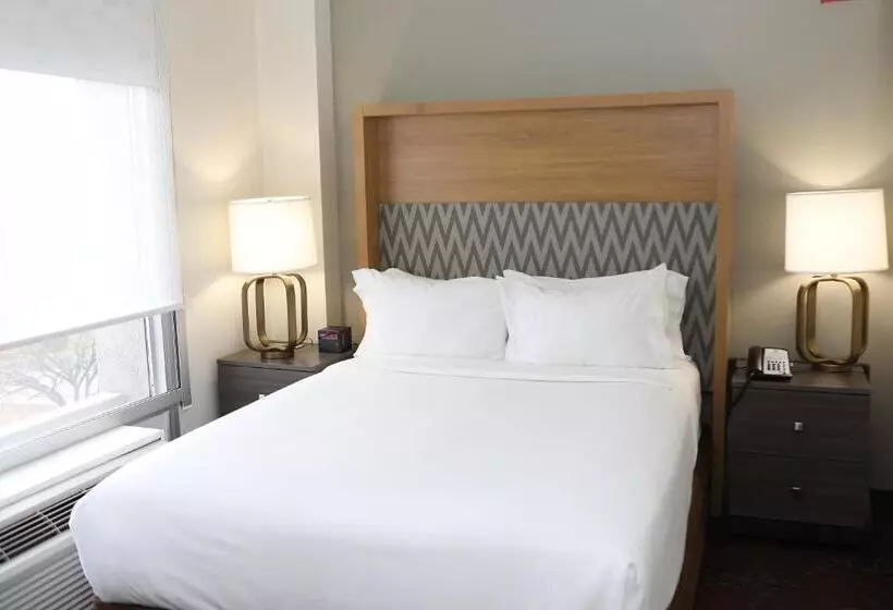 Fotos del hotel Holiday Inn O'hare Area, An Ihg:  15