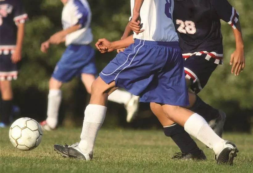 Fotos del hotel Palmeraie Village 2:  10