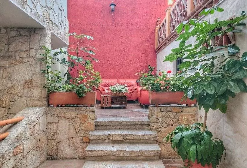 Fotos del hotel Plaza Magnolias:  9