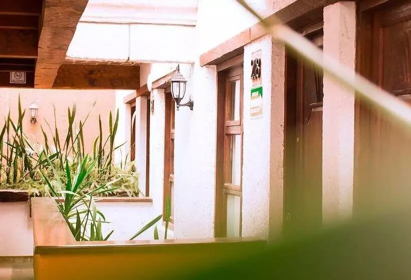 Fotos del hotel Plaza Magnolias:  11