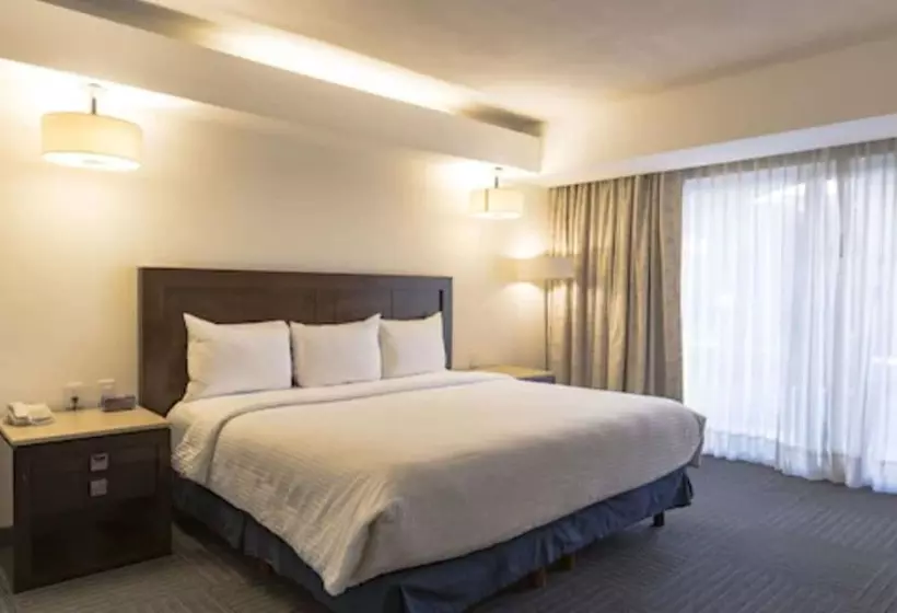 Fotos del hotel Exhacienda San Xavier:  23