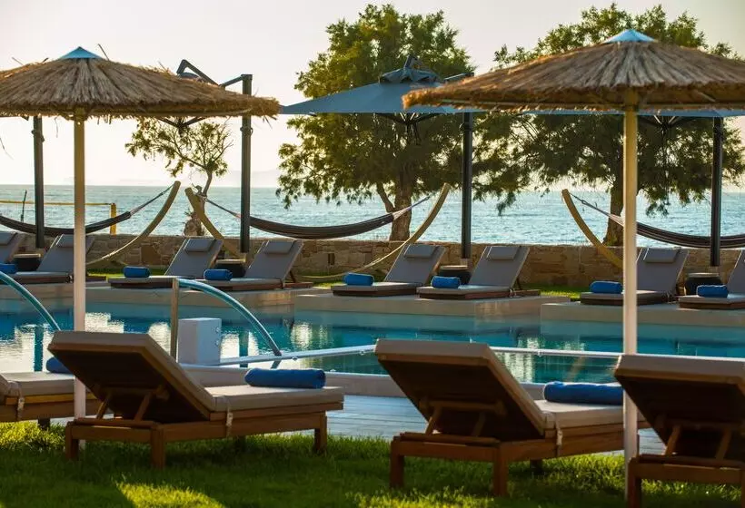 Fotos del hotel Kosta Mare Palace Resort & Spa:  18