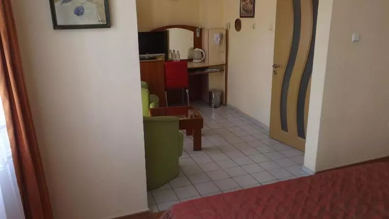 Fotos del hotel Palitra:  12