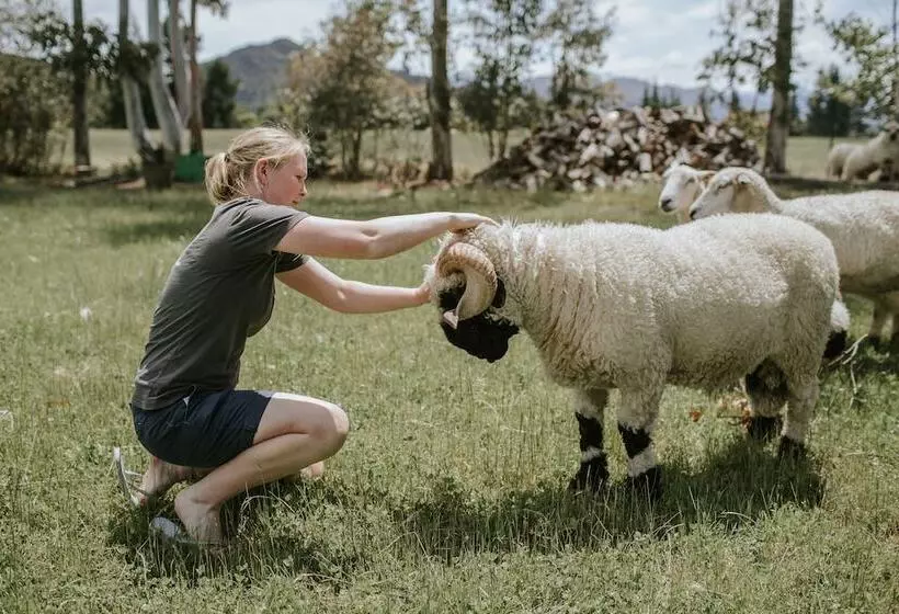 Fotos del hotel Maple Lodge:  10